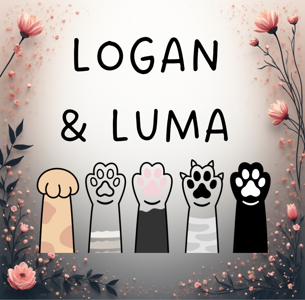 Achadinhos do Logan e Luma